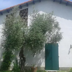 Albachiara Bed & Breakfast Sarzana